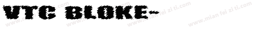 VTC Bloke字体转换